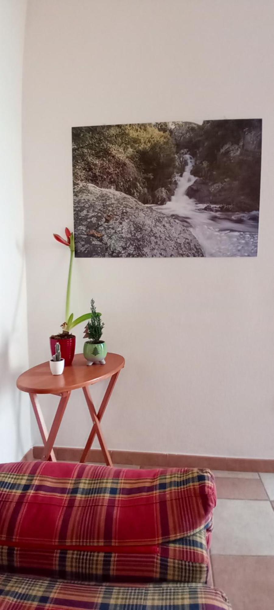 דירות נואורו Casa Gonario מראה חיצוני תמונה